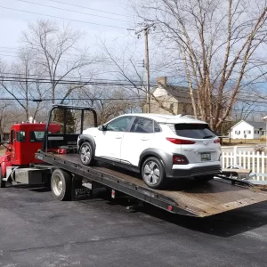 53796564_10158182495784325_7519804818316066816_o