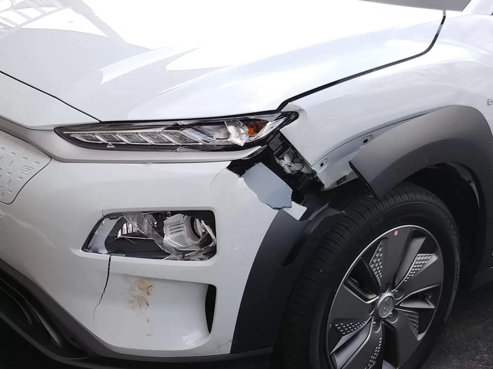 53761161_10158171947104325_6362490047496716288_n