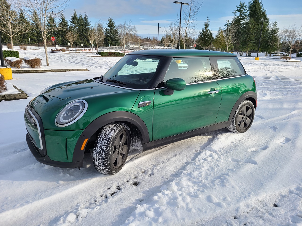 New%20Year%20Mini%20Snow%20Lt.jpg