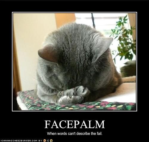 18068c257d1dde7fc1b1da90425e08fe--funny-cats-funny-animals.jpg