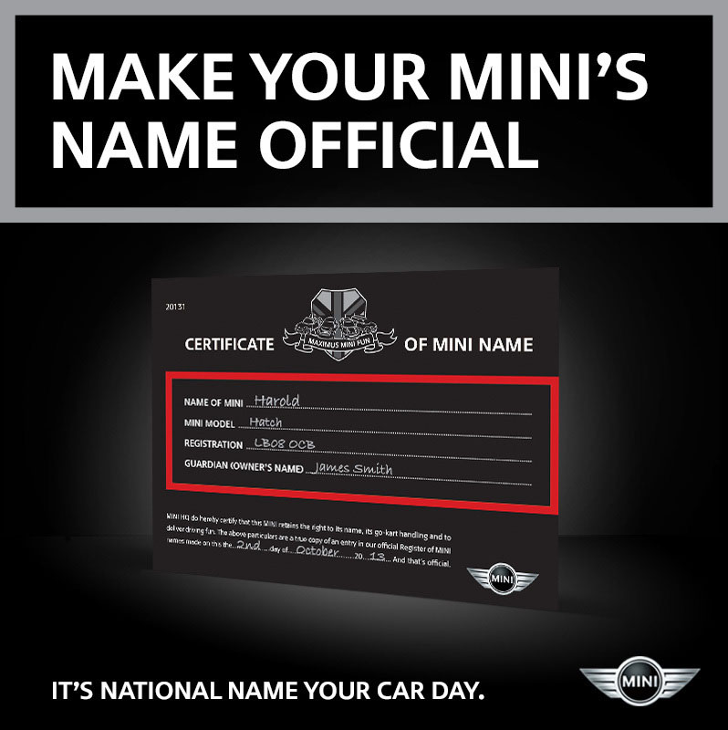NameYourMINI.jpg