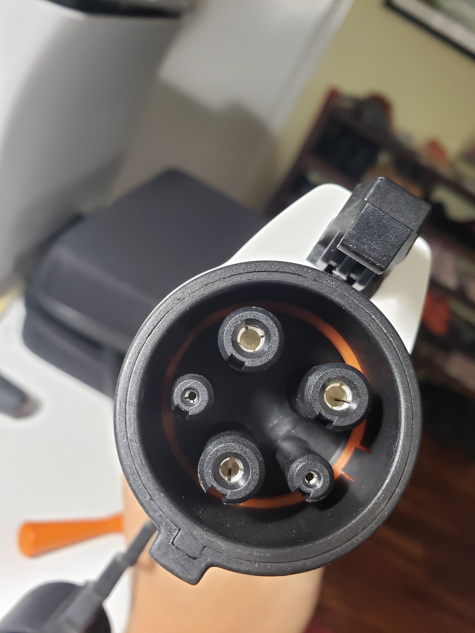 i-6t39qKk-X4.jpg