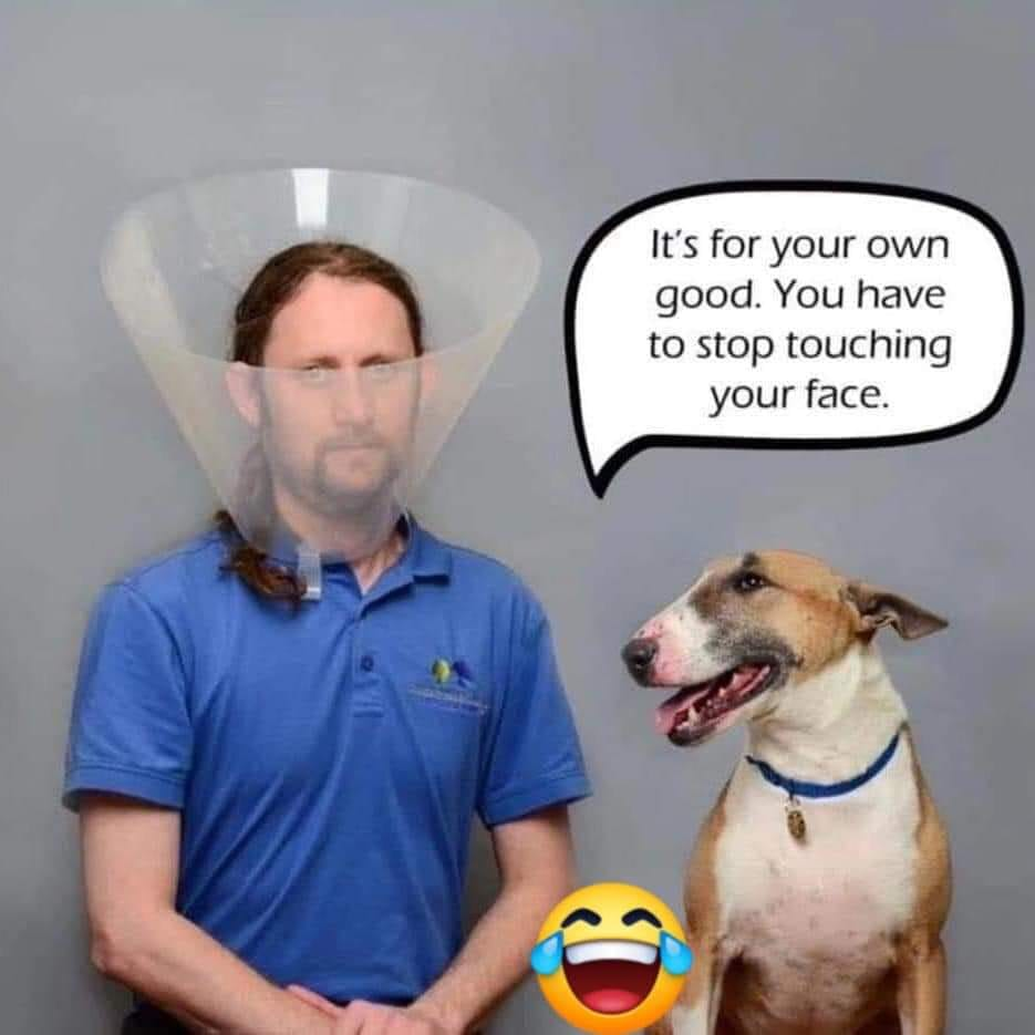 1584919508828-png.31907