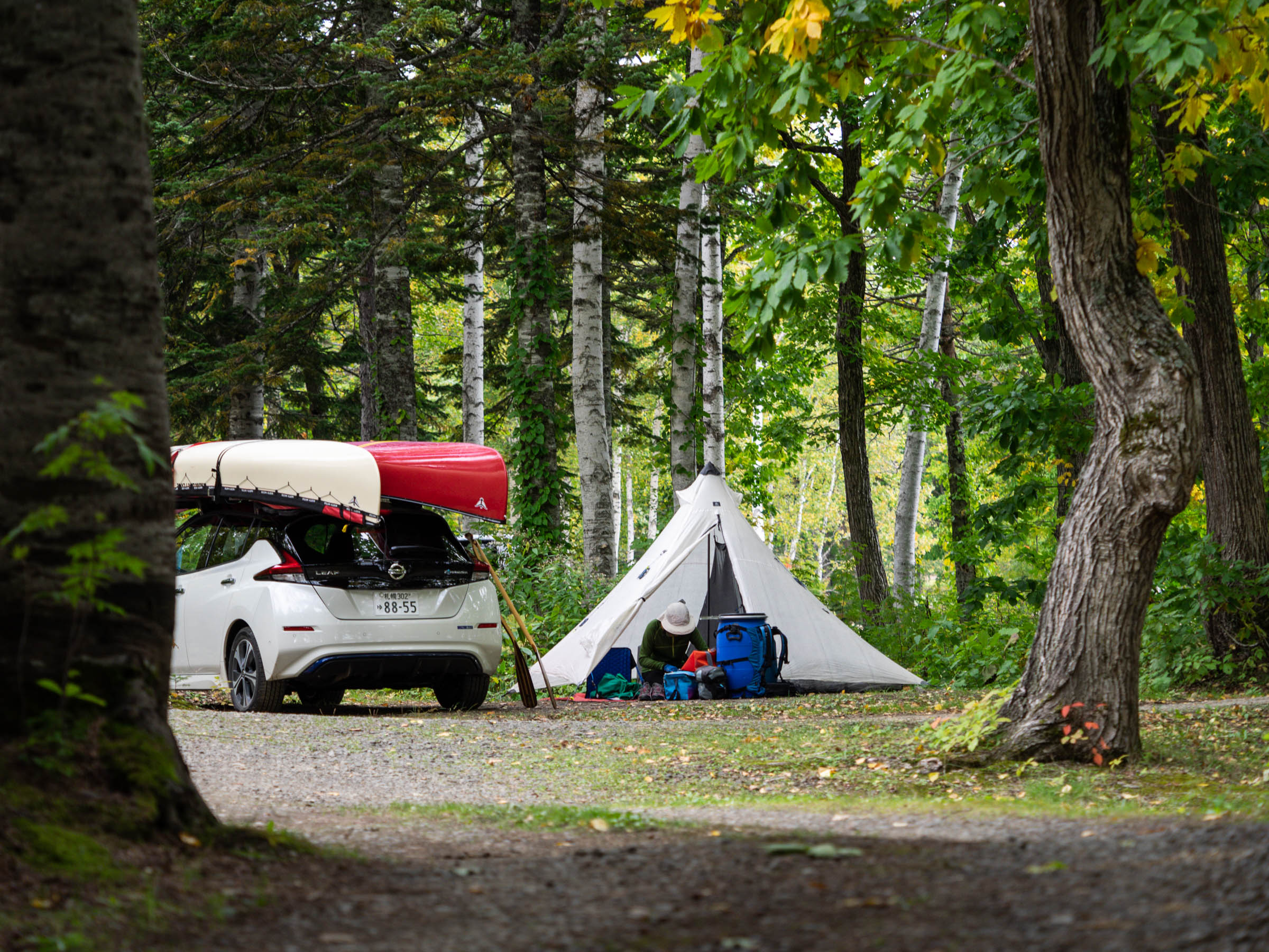 nissan-leaf-with-two-canoes-on-top-30.jpg
